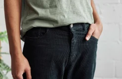 Balavu