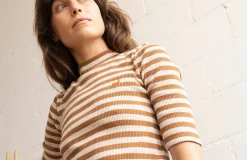 Levita